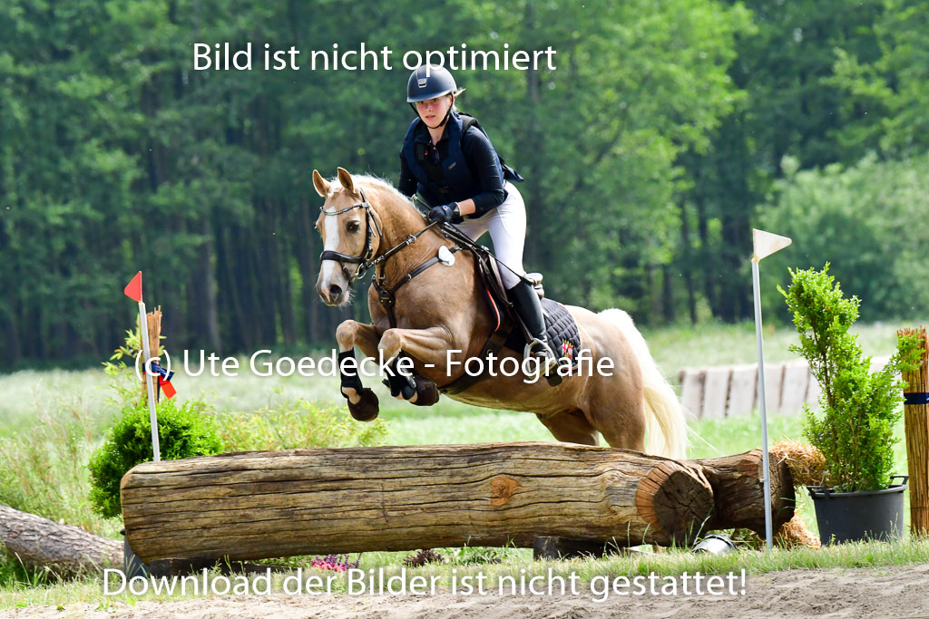 Goldene Schärpe Ponys in Löningen  4+5.6.22 | 04062022 - Gelände  2 Abt _515 