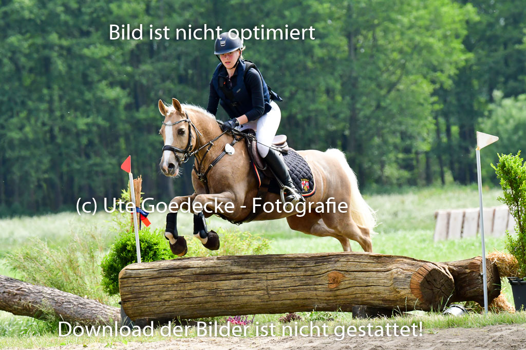 Goldene Schärpe Ponys in Löningen  4+5.6.22 | 04062022 - Gelände  2 Abt _516 
