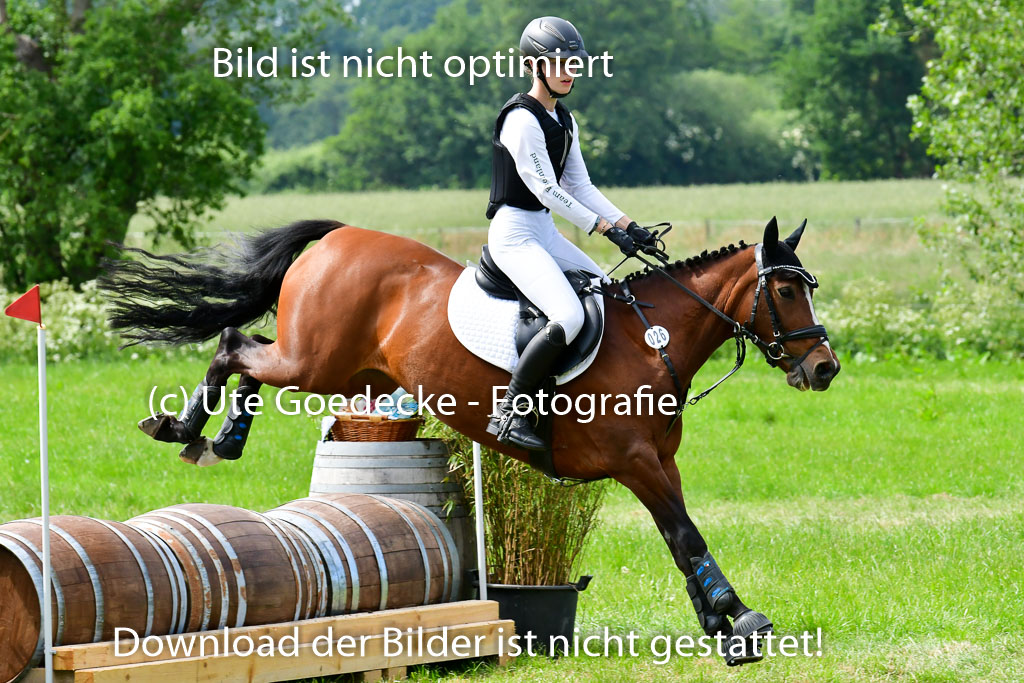 Goldene Schärpe Ponys in Löningen  4+5.6.22 | 04062022 - Gelände  2 Abt _521 