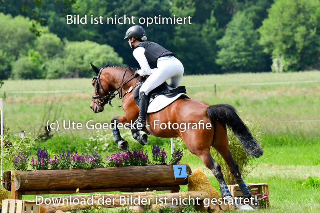 Goldene Schärpe Ponys in Löningen  4+5.6.22 | 04062022 - Gelände  2 Abt _522 