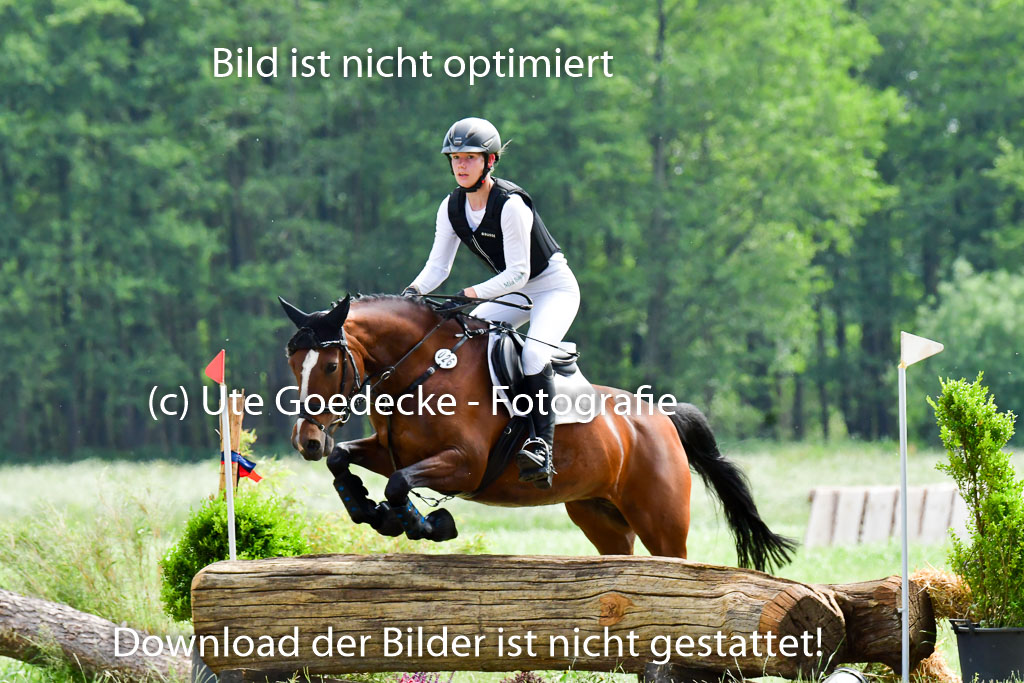 Goldene Schärpe Ponys in Löningen  4+5.6.22 | 04062022 - Gelände  2 Abt _523 