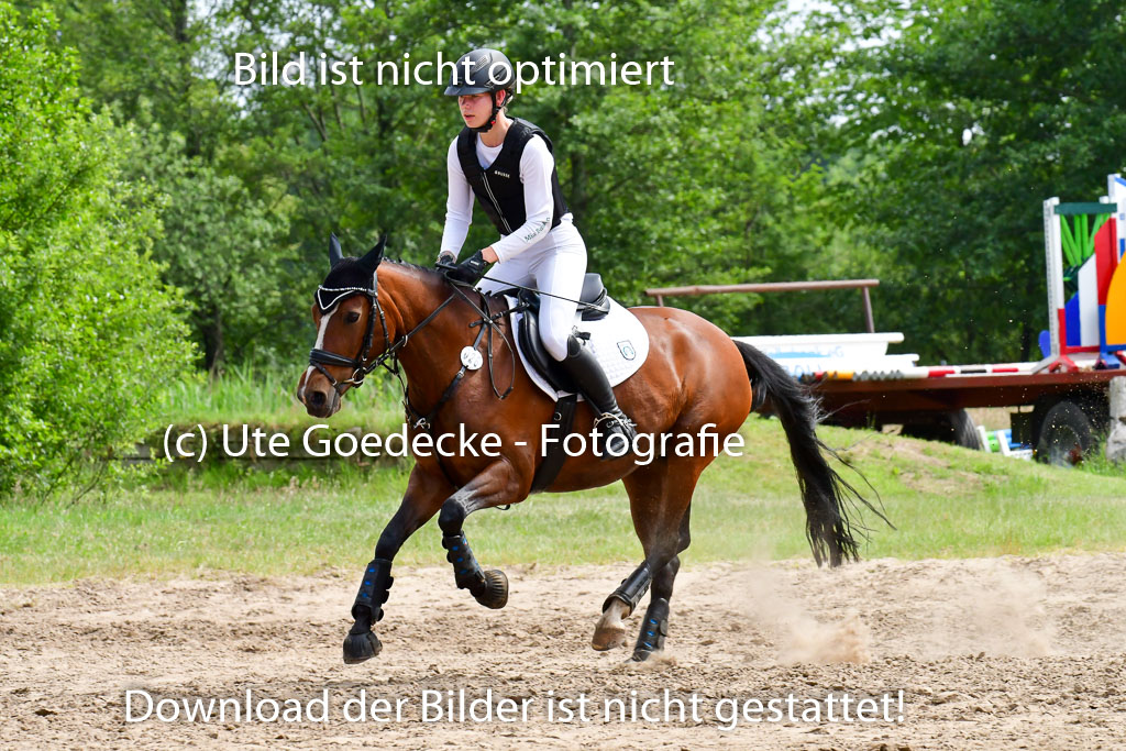 Goldene Schärpe Ponys in Löningen  4+5.6.22 | 04062022 - Gelände  2 Abt _524 