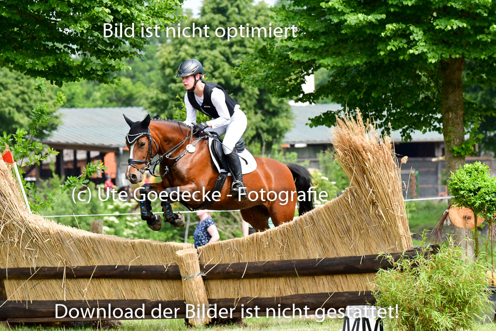 Goldene Schärpe Ponys in Löningen  4+5.6.22 | 04062022 - Gelände  2 Abt _528 