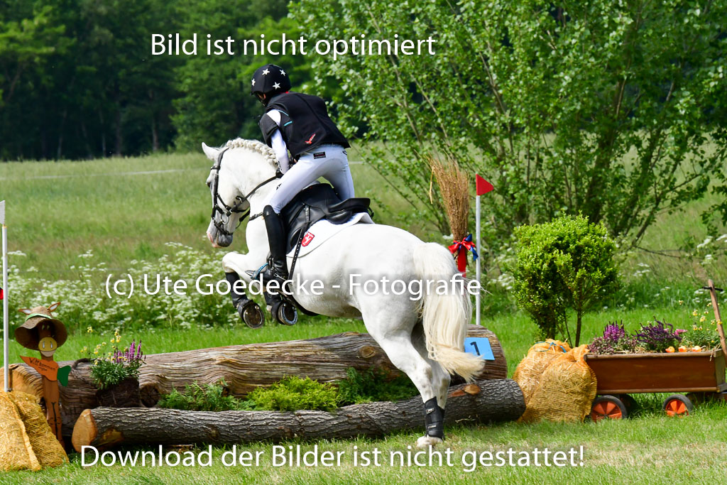 Goldene Schärpe Ponys in Löningen  4+5.6.22 | 04062022 - Gelände  2 Abt _529 