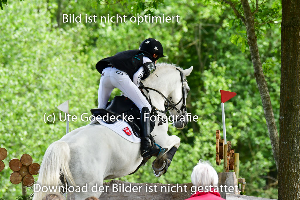 Goldene Schärpe Ponys in Löningen  4+5.6.22 | 04062022 - Gelände  2 Abt _534 