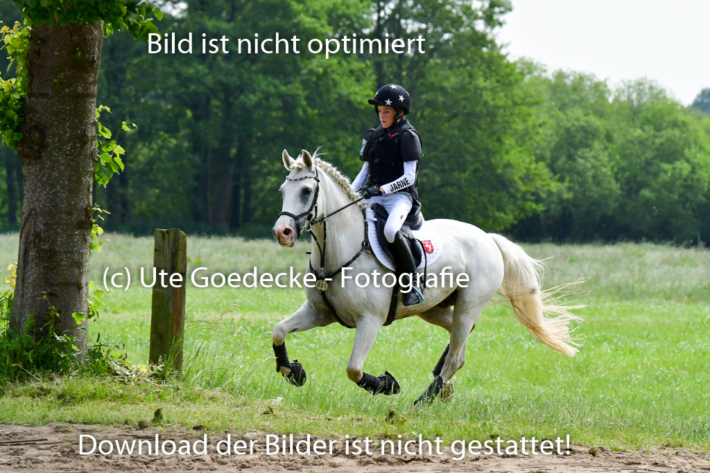 Goldene Schärpe Ponys in Löningen  4+5.6.22 | 04062022 - Gelände  2 Abt _538 