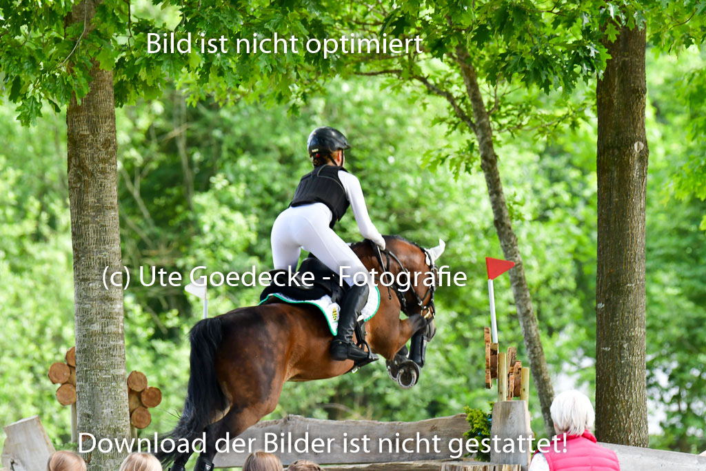 Goldene Schärpe Ponys in Löningen  4+5.6.22 | 04062022 - Gelände  2 Abt _553 
