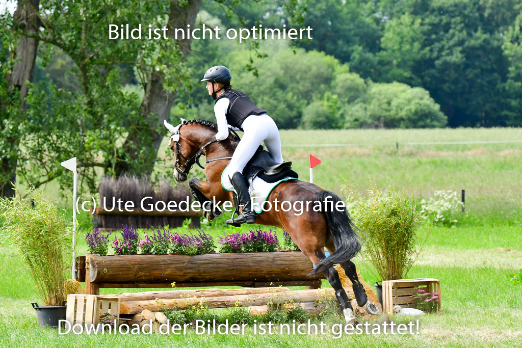 Goldene Schärpe Ponys in Löningen  4+5.6.22 | 04062022 - Gelände  2 Abt _554 