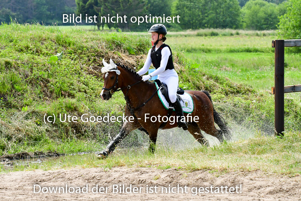 Goldene Schärpe Ponys in Löningen  4+5.6.22 | 04062022 - Gelände  2 Abt _556 