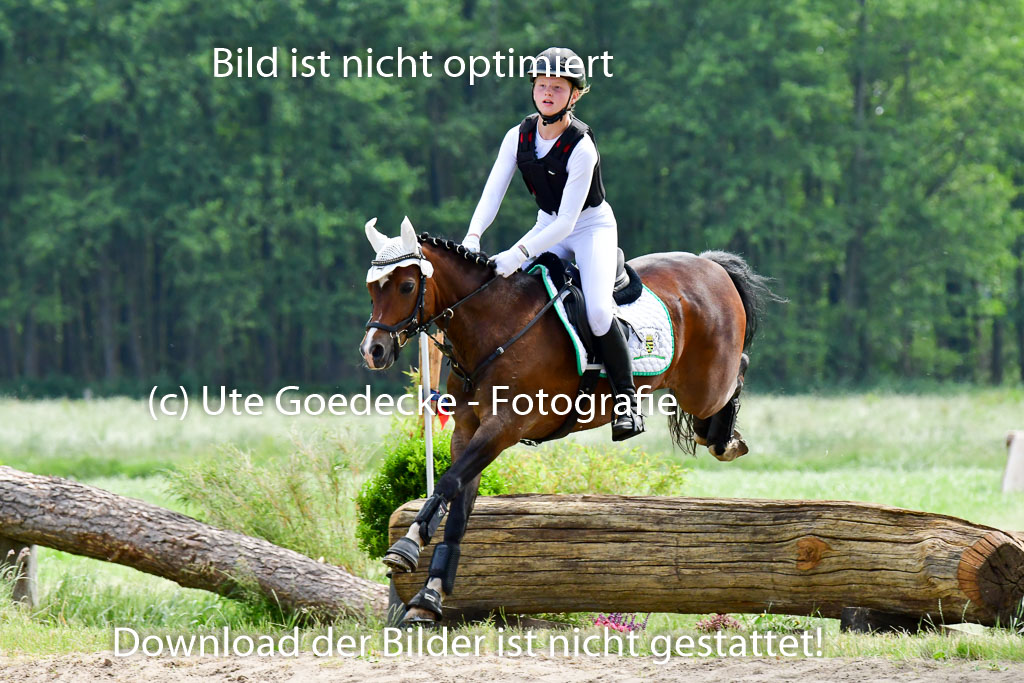 Goldene Schärpe Ponys in Löningen  4+5.6.22 | 04062022 - Gelände  2 Abt _559 