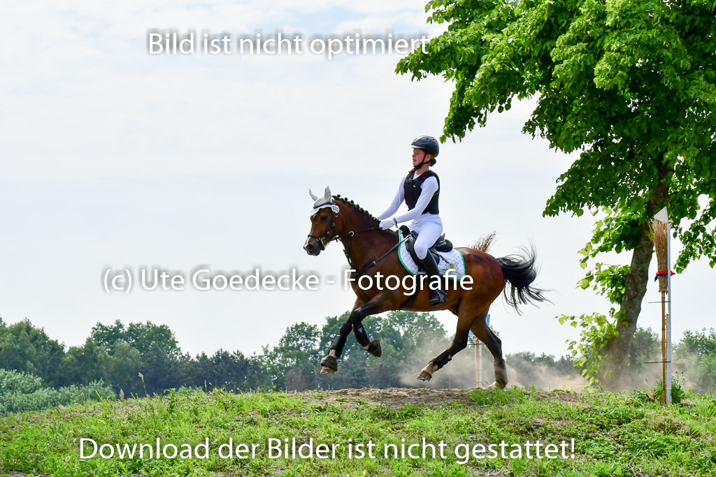 Goldene Schärpe Ponys in Löningen  4+5.6.22 | 04062022 - Gelände  2 Abt _561 