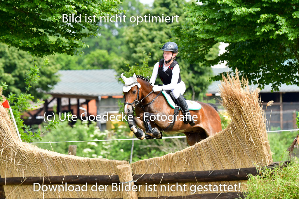 Goldene Schärpe Ponys in Löningen  4+5.6.22 | 04062022 - Gelände  2 Abt _563 
