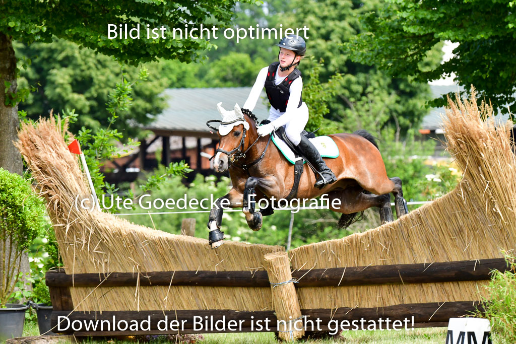 Goldene Schärpe Ponys in Löningen  4+5.6.22 | 04062022 - Gelände  2 Abt _564 