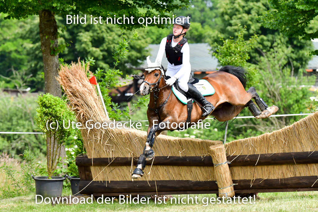 Goldene Schärpe Ponys in Löningen  4+5.6.22 | 04062022 - Gelände  2 Abt _565 
