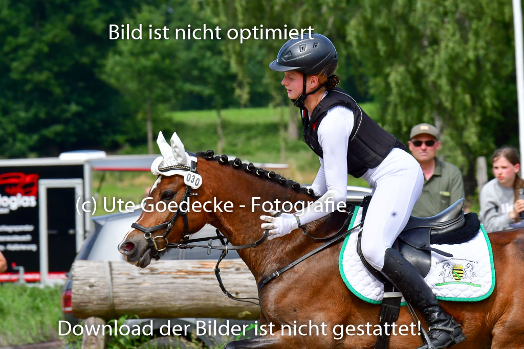 Goldene Schärpe Ponys in Löningen  4+5.6.22 | 04062022 - Gelände  2 Abt _567 