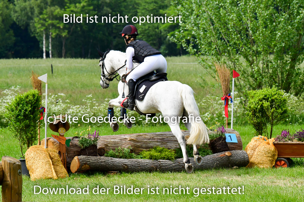 Goldene Schärpe Ponys in Löningen  4+5.6.22 | 04062022 - Gelände  2 Abt _568 