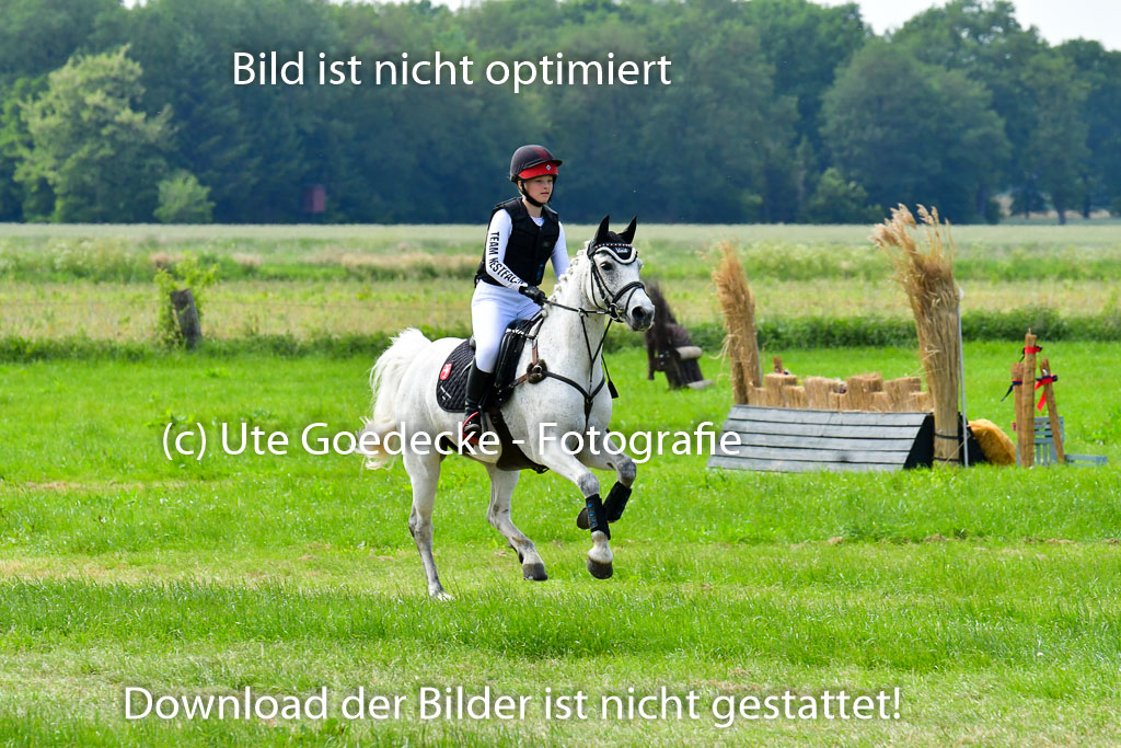 Goldene Schärpe Ponys in Löningen  4+5.6.22 | 04062022 - Gelände  2 Abt _569 