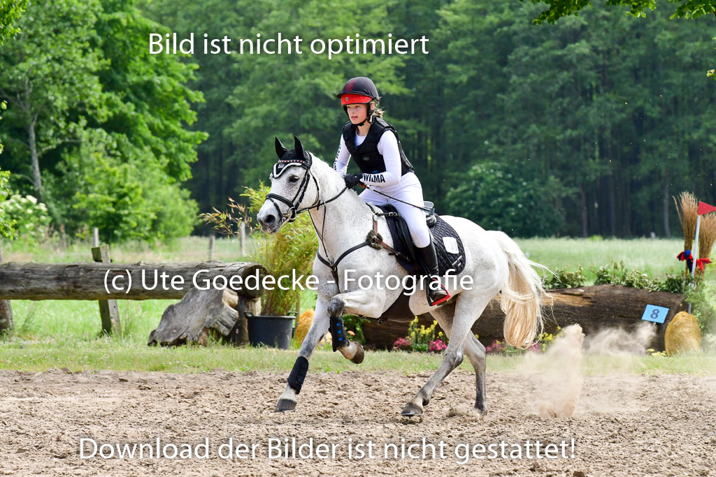Goldene Schärpe Ponys in Löningen  4+5.6.22 | 04062022 - Gelände  2 Abt _579 