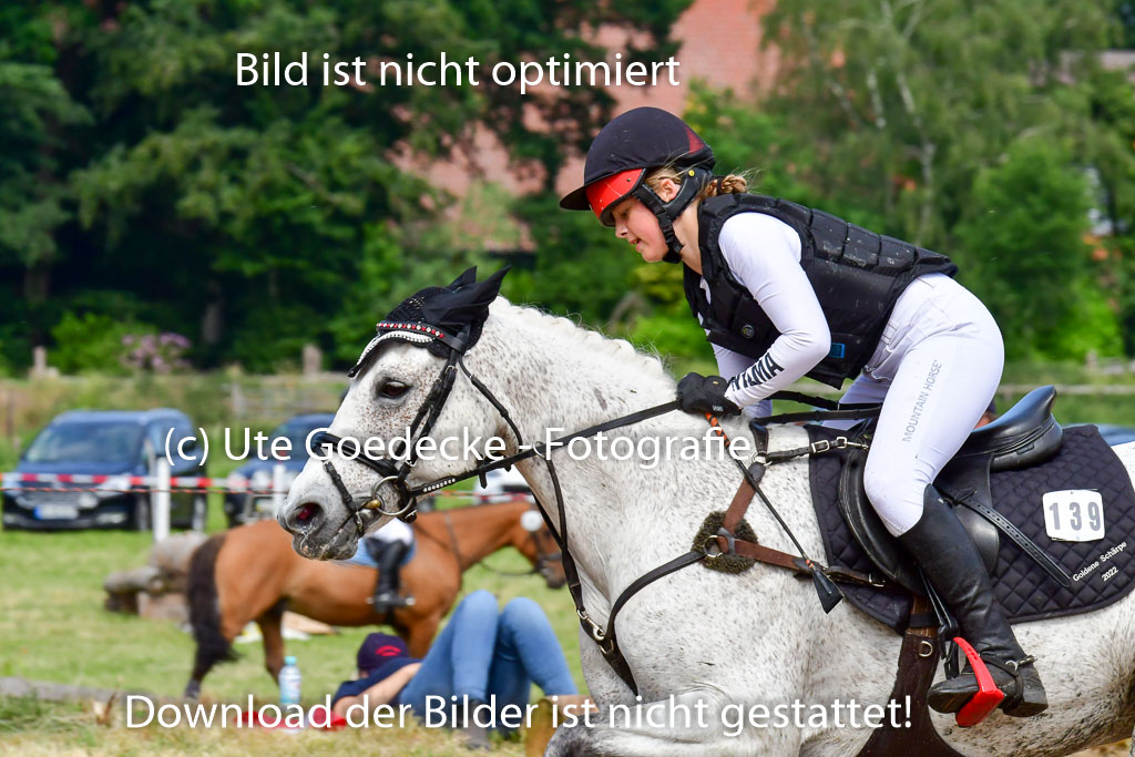 Goldene Schärpe Ponys in Löningen  4+5.6.22 | 04062022 - Gelände  2 Abt _585 