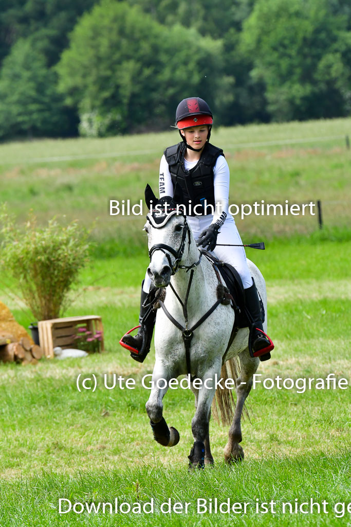 Goldene Schärpe Ponys in Löningen  4+5.6.22 | 04062022 - Gelände  2 Abt _586 