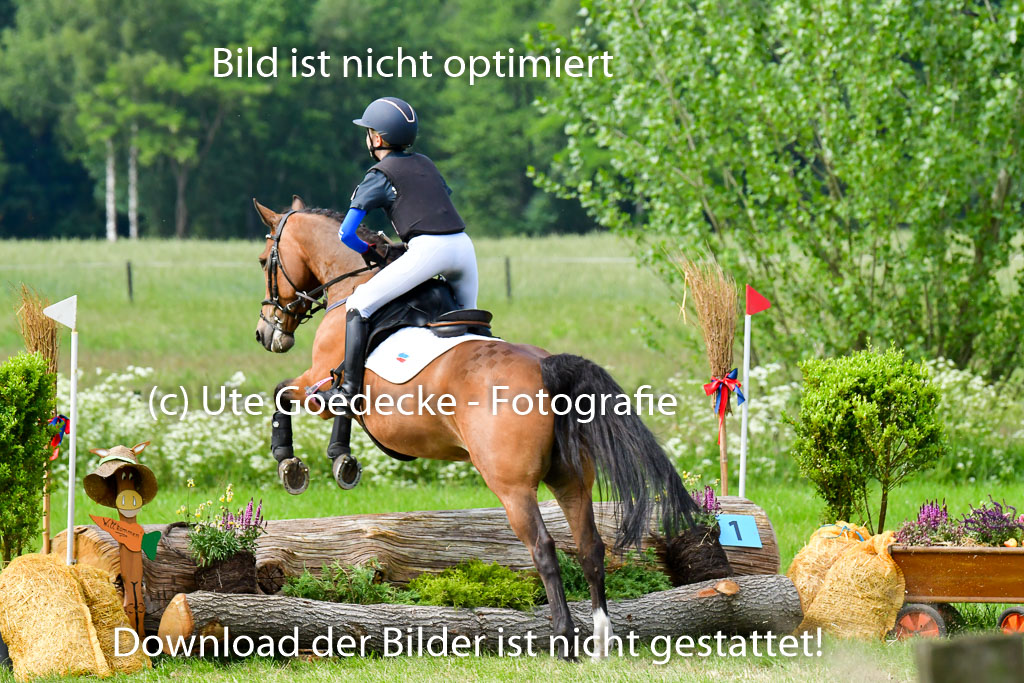 Goldene Schärpe Ponys in Löningen  4+5.6.22 | 04062022 - Gelände  2 Abt _588 
