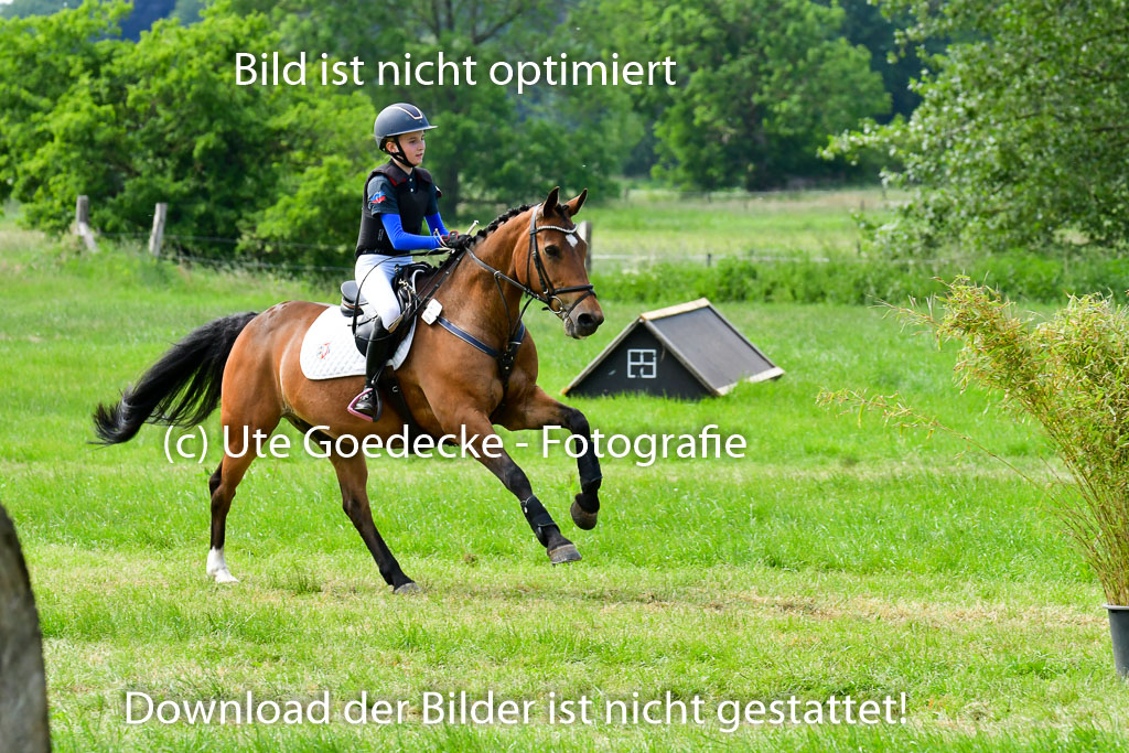 Goldene Schärpe Ponys in Löningen  4+5.6.22 | 04062022 - Gelände  2 Abt _589 