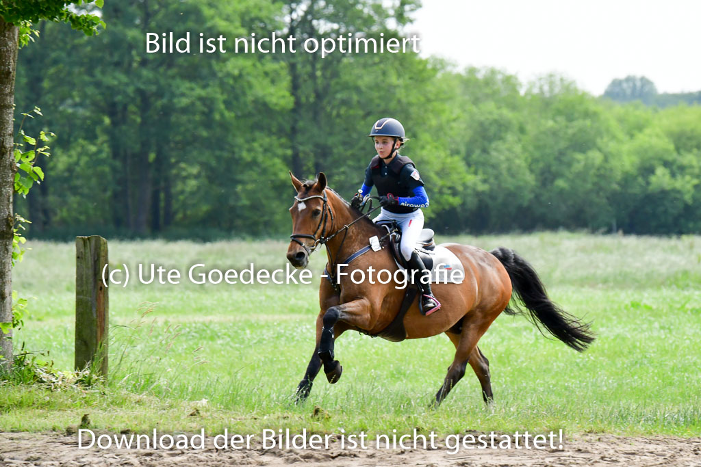 Goldene Schärpe Ponys in Löningen  4+5.6.22 | 04062022 - Gelände  2 Abt _593 