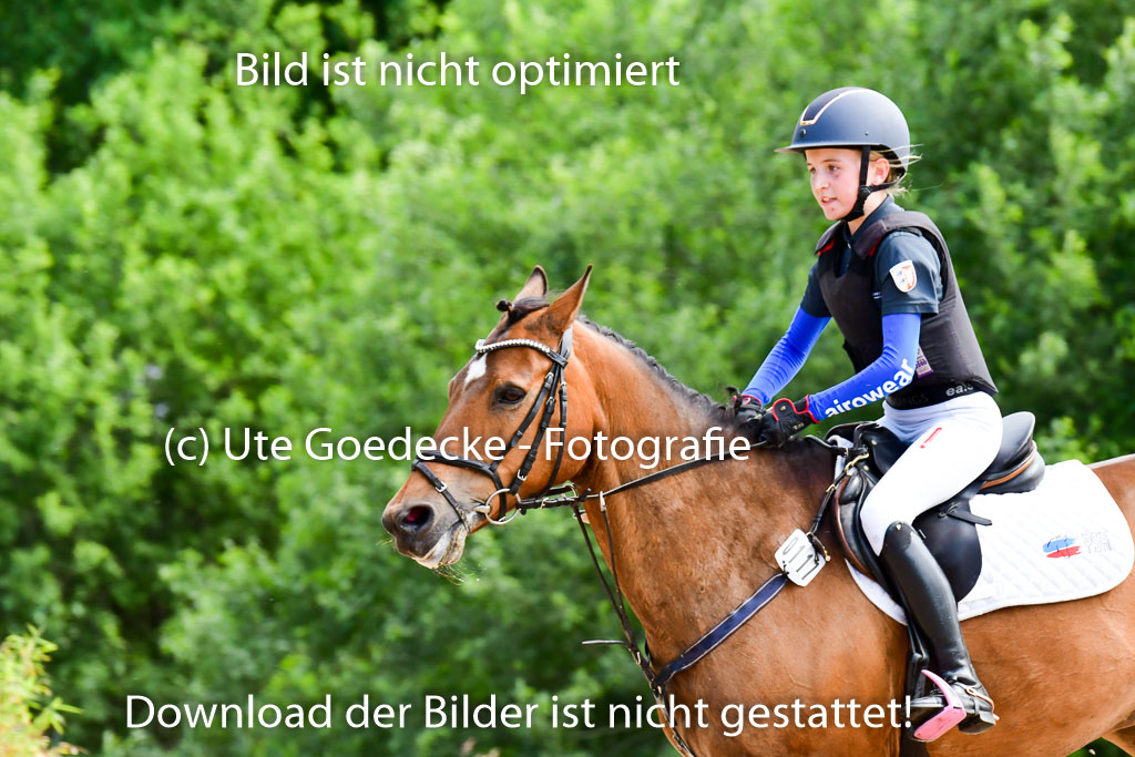 Goldene Schärpe Ponys in Löningen  4+5.6.22 | 04062022 - Gelände  2 Abt _596 