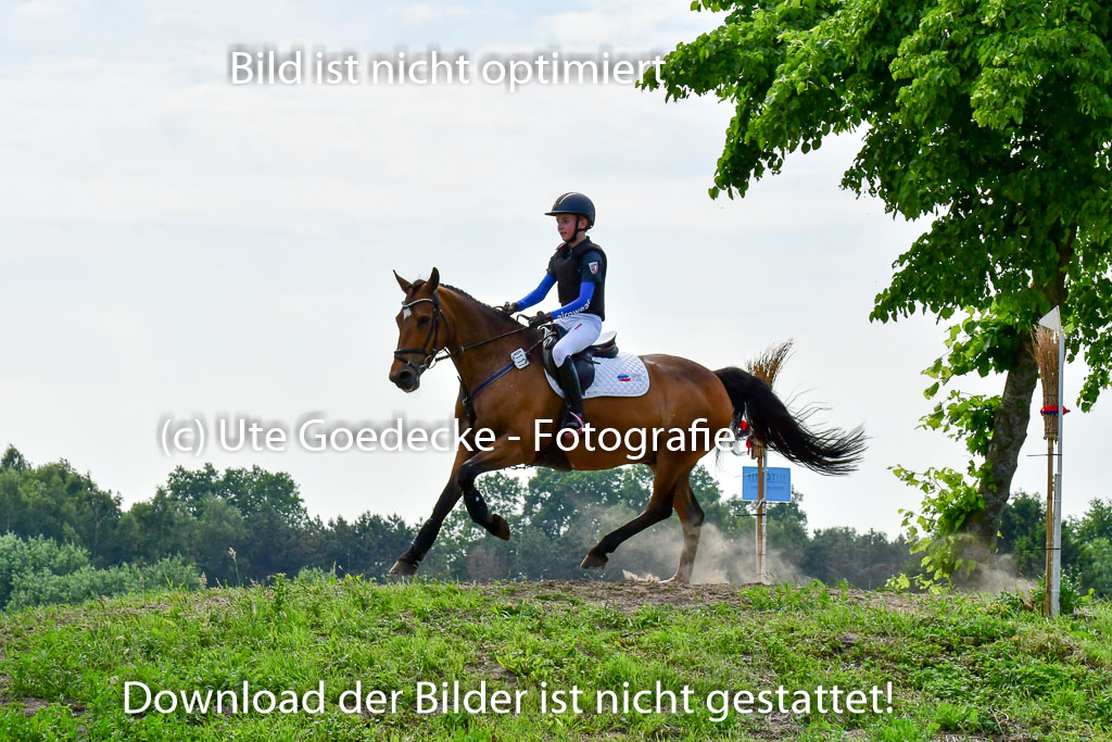 Goldene Schärpe Ponys in Löningen  4+5.6.22 | 04062022 - Gelände  2 Abt _597 