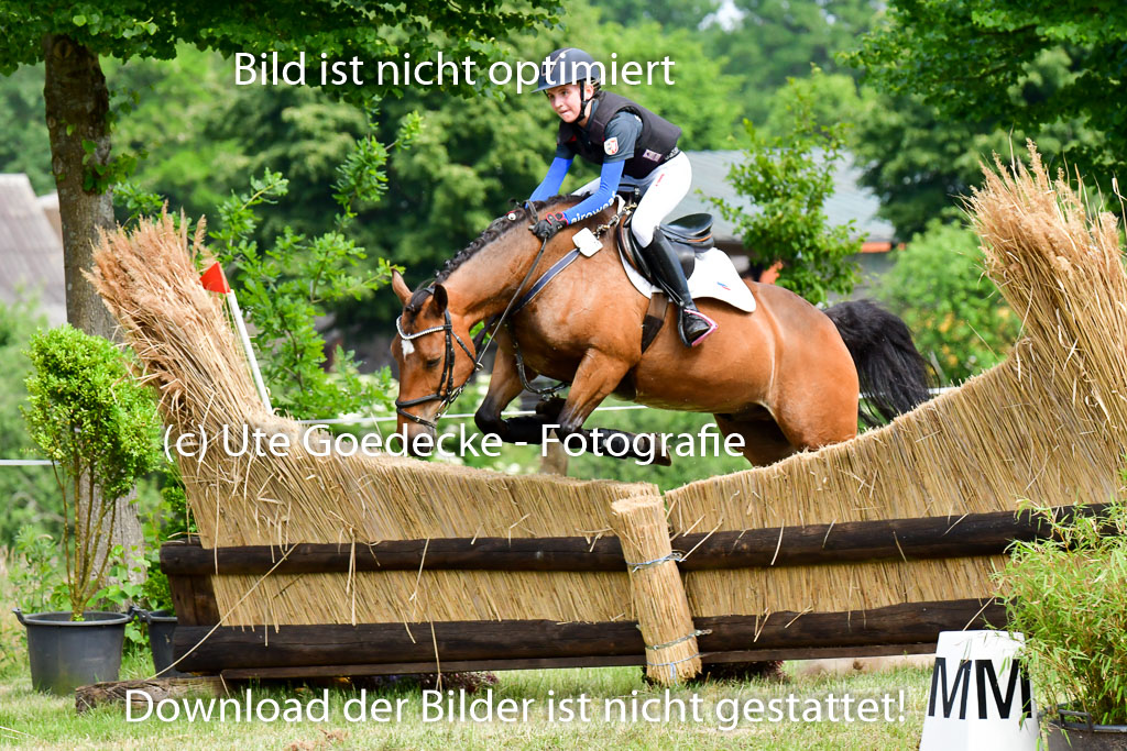 Goldene Schärpe Ponys in Löningen  4+5.6.22 | 04062022 - Gelände  2 Abt _598 