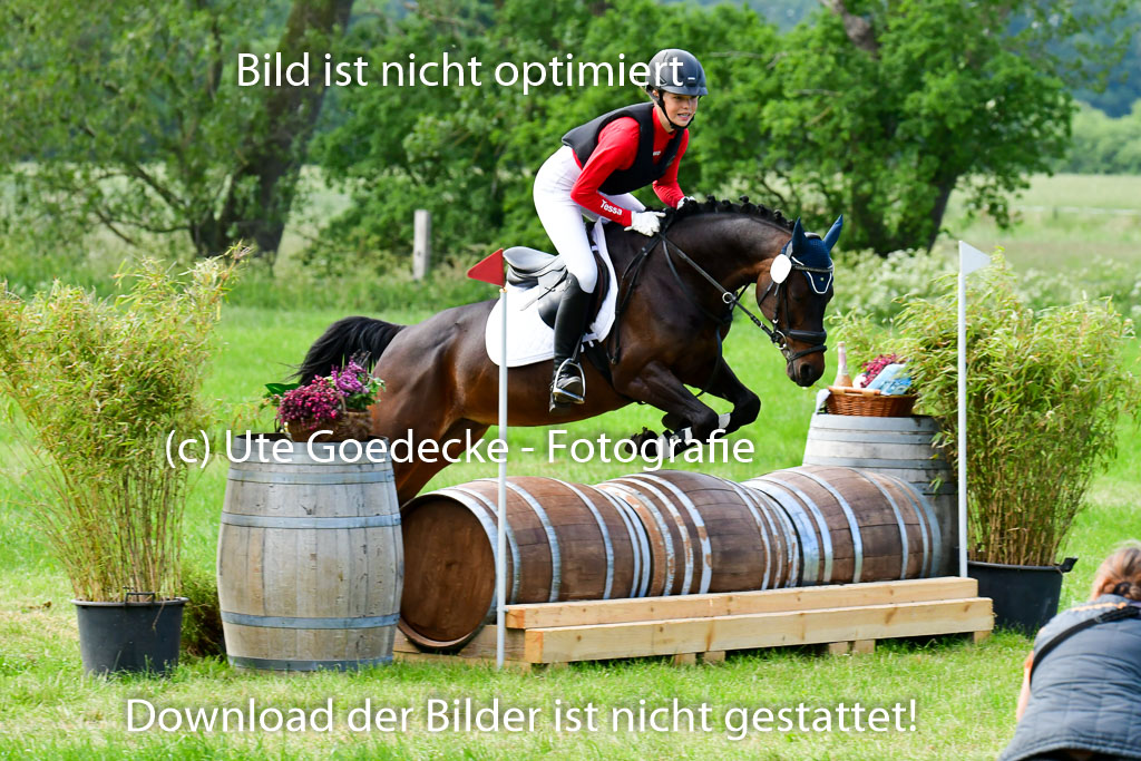 Goldene Schärpe Ponys in Löningen  4+5.6.22 | 04062022 - Gelände  2 Abt _601 