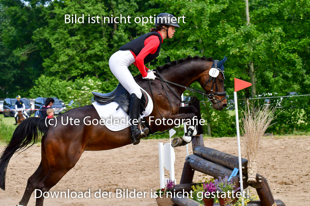 Goldene Schärpe Ponys in Löningen  4+5.6.22 | 04062022 - Gelände  2 Abt _603 