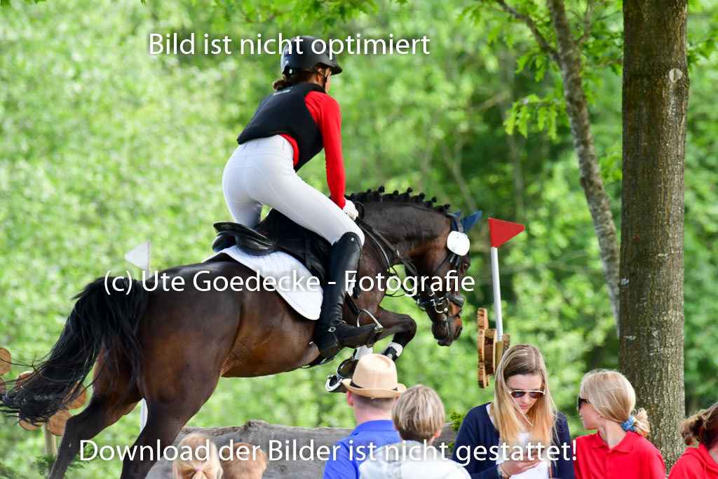 Goldene Schärpe Ponys in Löningen  4+5.6.22 | 04062022 - Gelände  2 Abt _604 