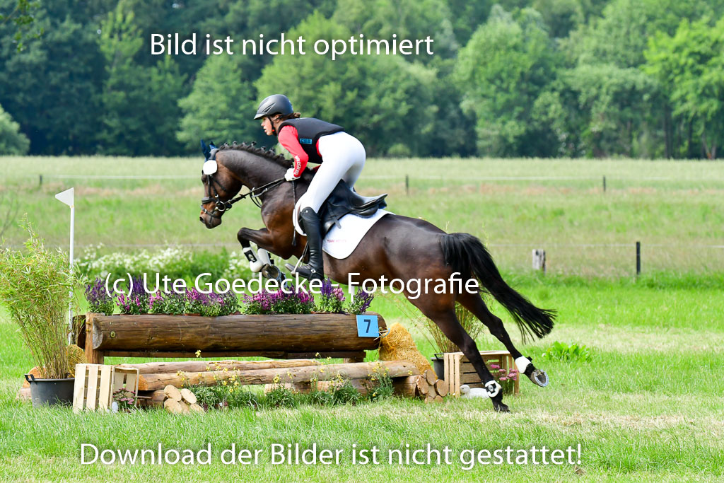 Goldene Schärpe Ponys in Löningen  4+5.6.22 | 04062022 - Gelände  2 Abt _605 