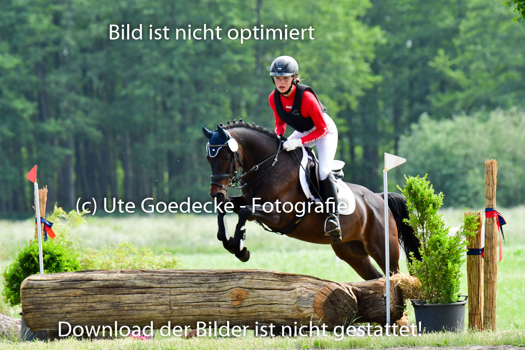 Goldene Schärpe Ponys in Löningen  4+5.6.22 | 04062022 - Gelände  2 Abt _609 