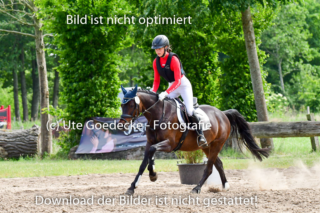 Goldene Schärpe Ponys in Löningen  4+5.6.22 | 04062022 - Gelände  2 Abt _611 