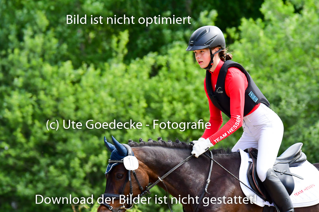 Goldene Schärpe Ponys in Löningen  4+5.6.22 | 04062022 - Gelände  2 Abt _612 