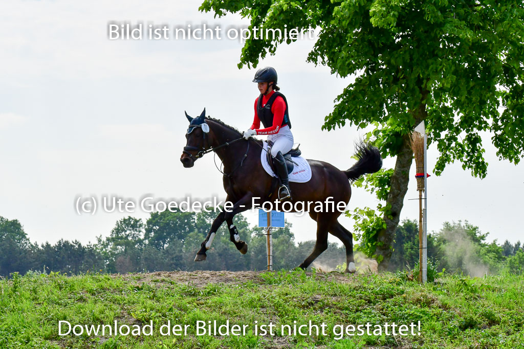 Goldene Schärpe Ponys in Löningen  4+5.6.22 | 04062022 - Gelände  2 Abt _613 