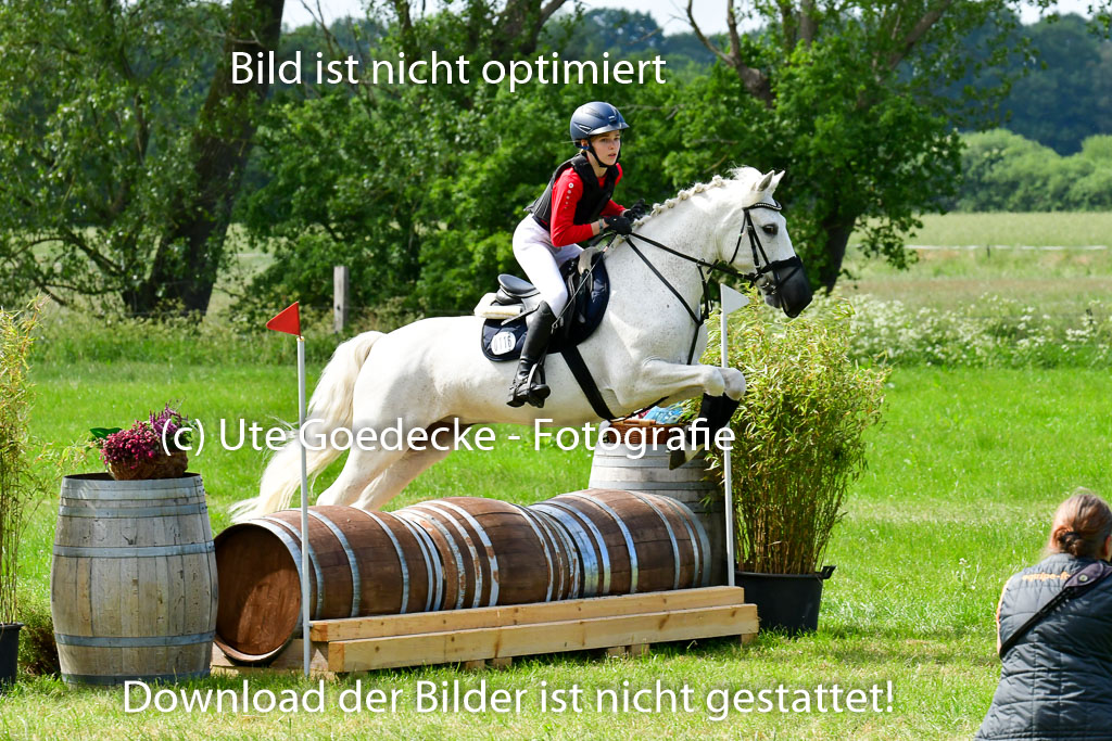 Goldene Schärpe Ponys in Löningen  4+5.6.22 | 04062022 - Gelände  2 Abt _618 