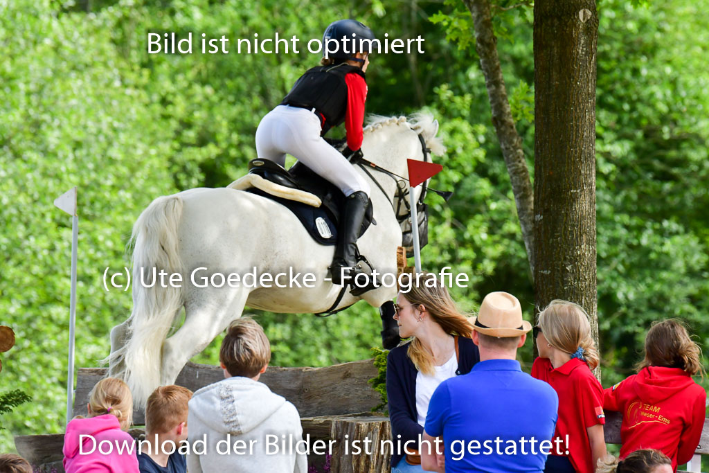 Goldene Schärpe Ponys in Löningen  4+5.6.22 | 04062022 - Gelände  2 Abt _619 