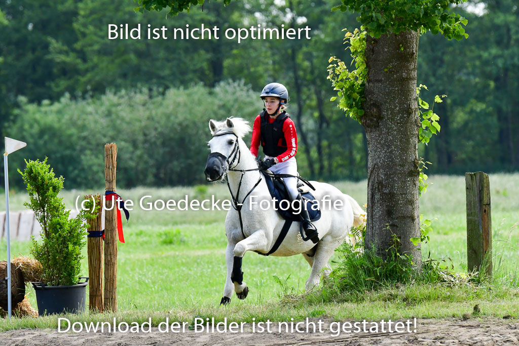 Goldene Schärpe Ponys in Löningen  4+5.6.22 | 04062022 - Gelände  2 Abt _623 