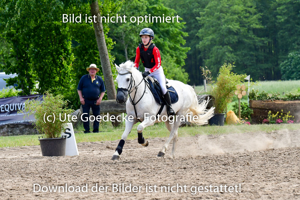 Goldene Schärpe Ponys in Löningen  4+5.6.22 | 04062022 - Gelände  2 Abt _626 