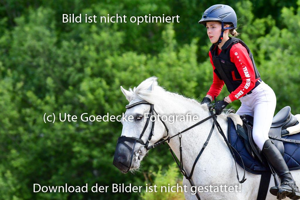 Goldene Schärpe Ponys in Löningen  4+5.6.22 | 04062022 - Gelände  2 Abt _628 