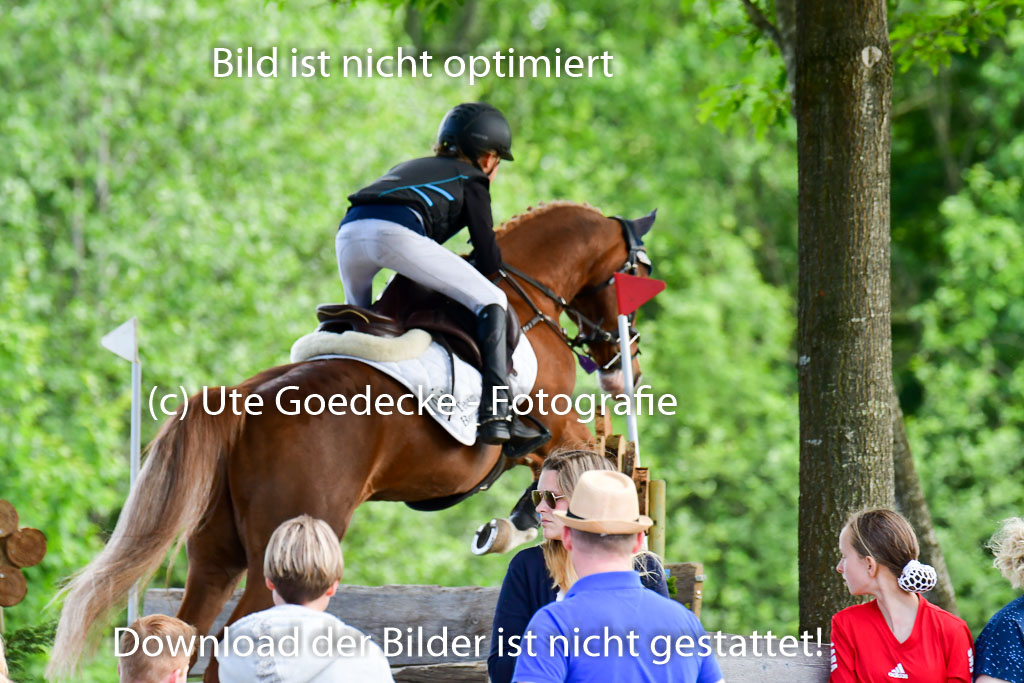 Goldene Schärpe Ponys in Löningen  4+5.6.22 | 04062022 - Gelände  2 Abt _638 