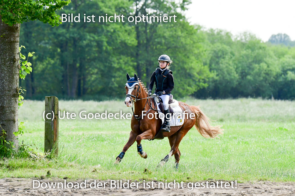 Goldene Schärpe Ponys in Löningen  4+5.6.22 | 04062022 - Gelände  2 Abt _641 