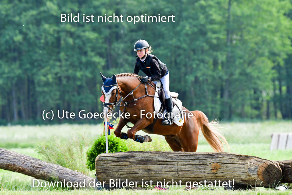 Goldene Schärpe Ponys in Löningen  4+5.6.22 | 04062022 - Gelände  2 Abt _642 
