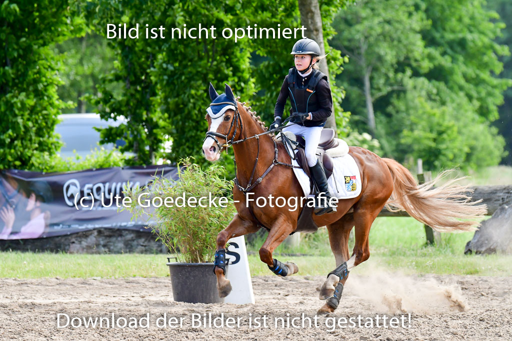 Goldene Schärpe Ponys in Löningen  4+5.6.22 | 04062022 - Gelände  2 Abt _643 