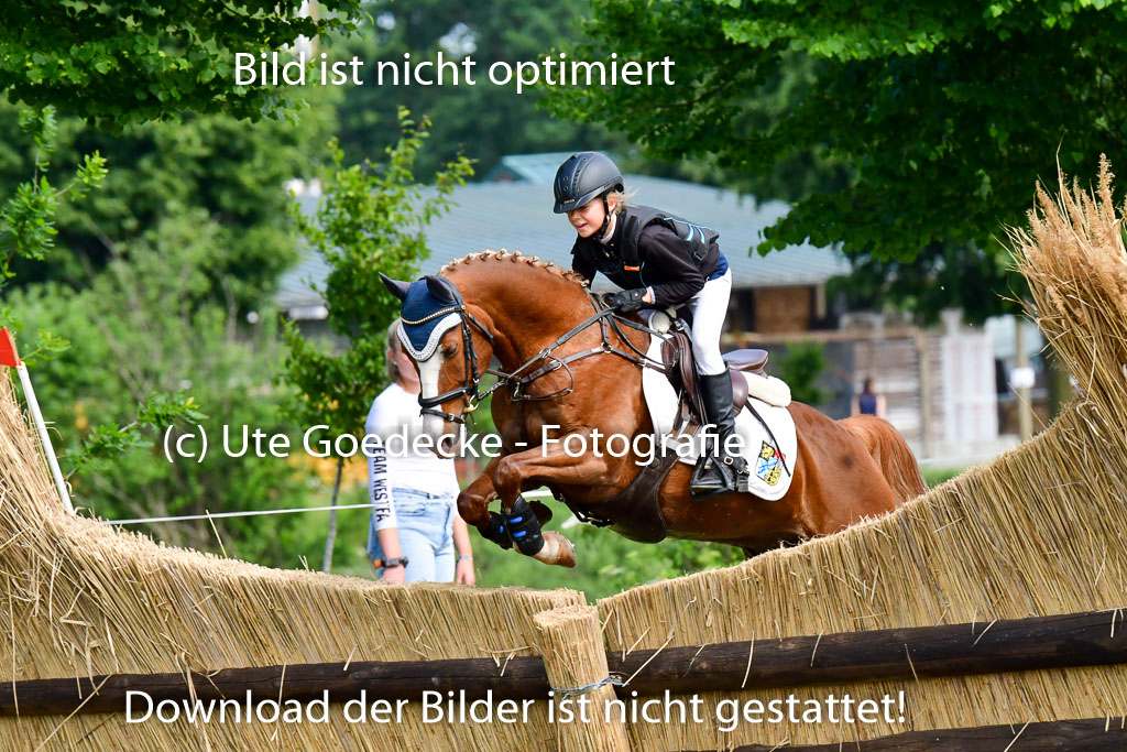 Goldene Schärpe Ponys in Löningen  4+5.6.22 | 04062022 - Gelände  2 Abt _648 
