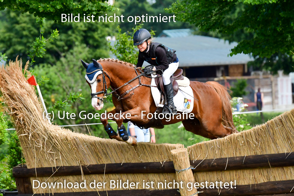 Goldene Schärpe Ponys in Löningen  4+5.6.22 | 04062022 - Gelände  2 Abt _649 