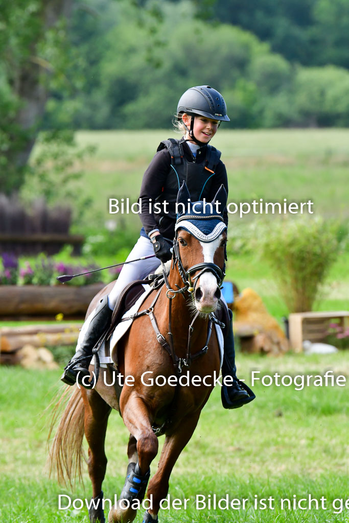 Goldene Schärpe Ponys in Löningen  4+5.6.22 | 04062022 - Gelände  2 Abt _652 